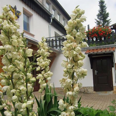 Ferienhaus Haus Am Wald Stolberg  ภายนอก รูปภาพ