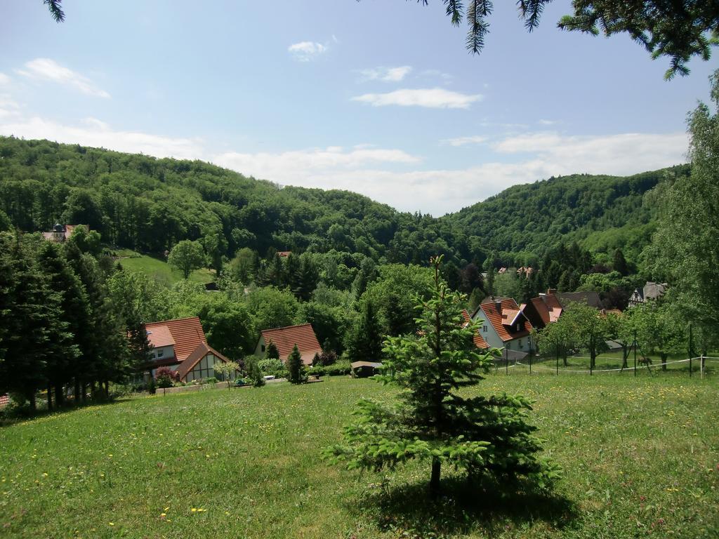 Ferienhaus Haus Am Wald Stolberg  ภายนอก รูปภาพ