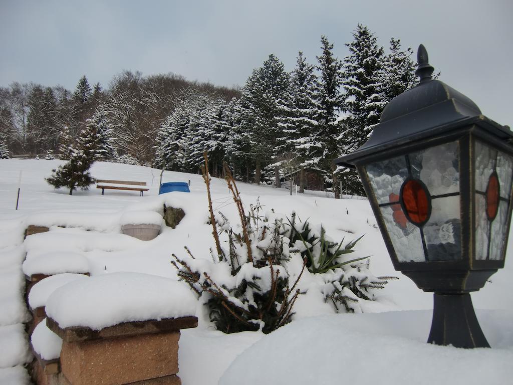 Ferienhaus Haus Am Wald Stolberg  ภายนอก รูปภาพ