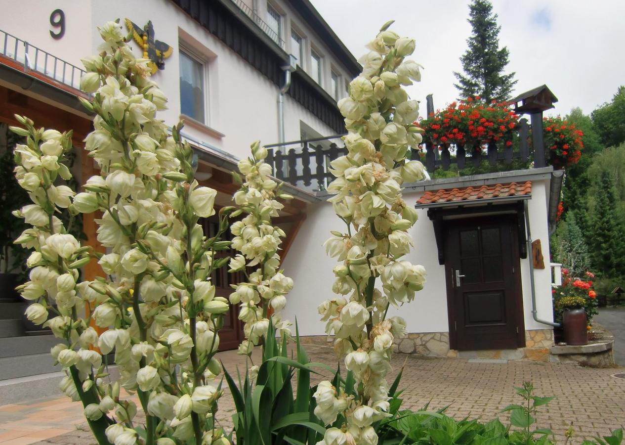 Ferienhaus Haus Am Wald Stolberg  ภายนอก รูปภาพ