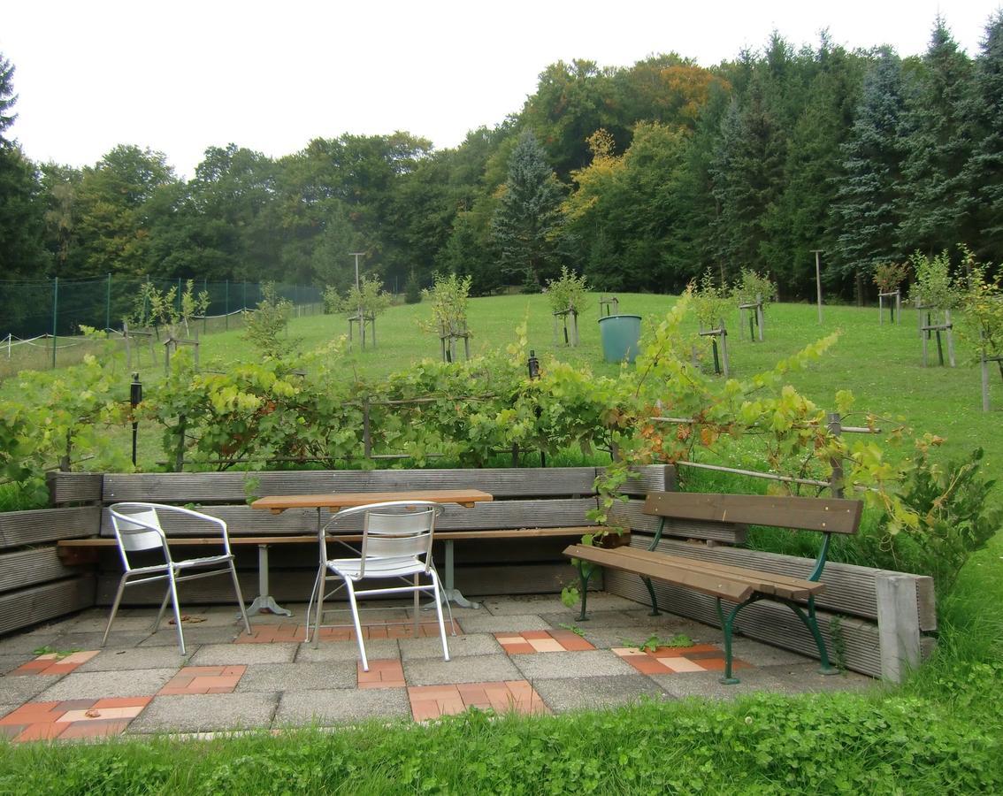 Ferienhaus Haus Am Wald Stolberg  ภายนอก รูปภาพ