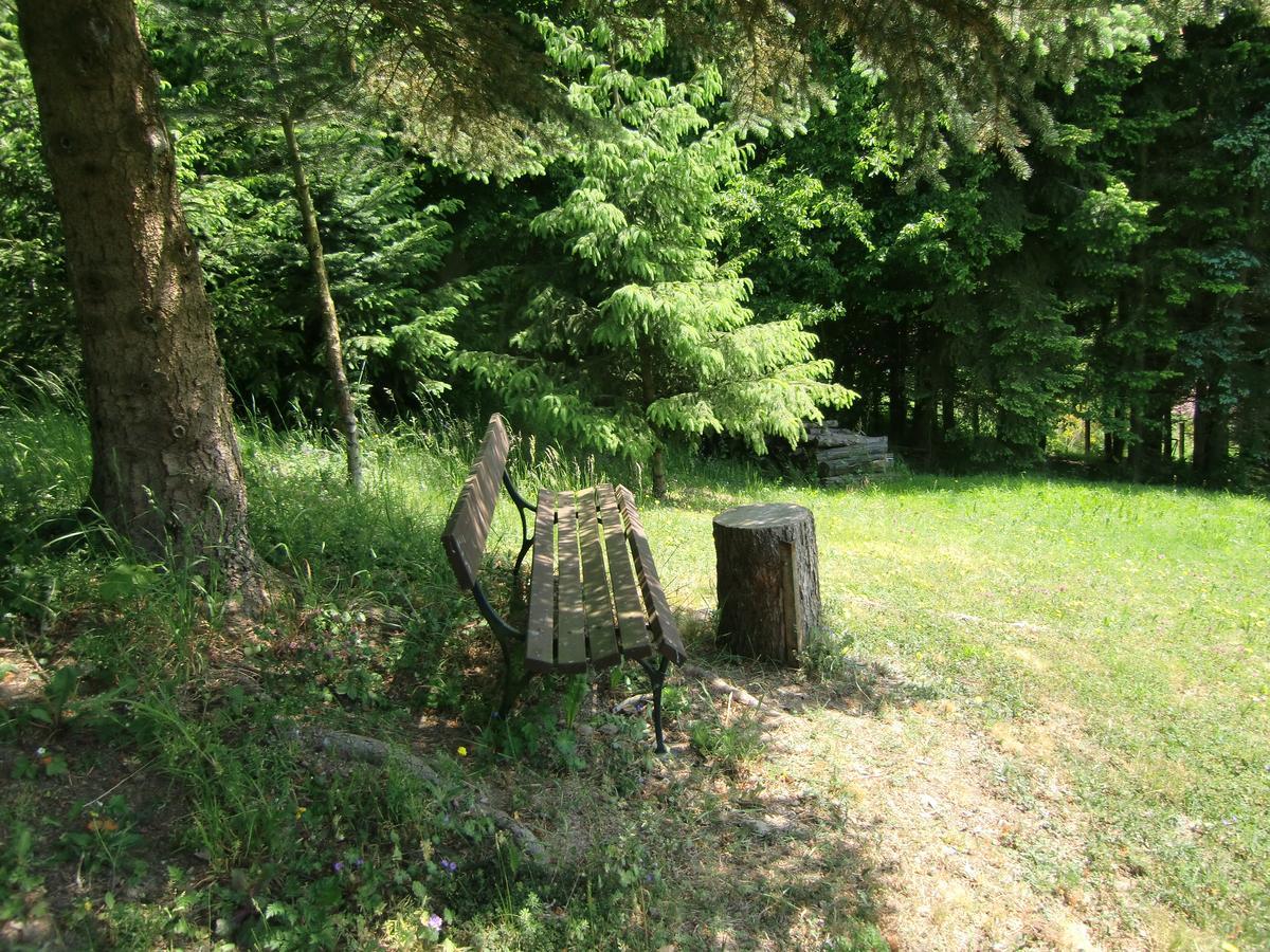 Ferienhaus Haus Am Wald Stolberg  ภายนอก รูปภาพ
